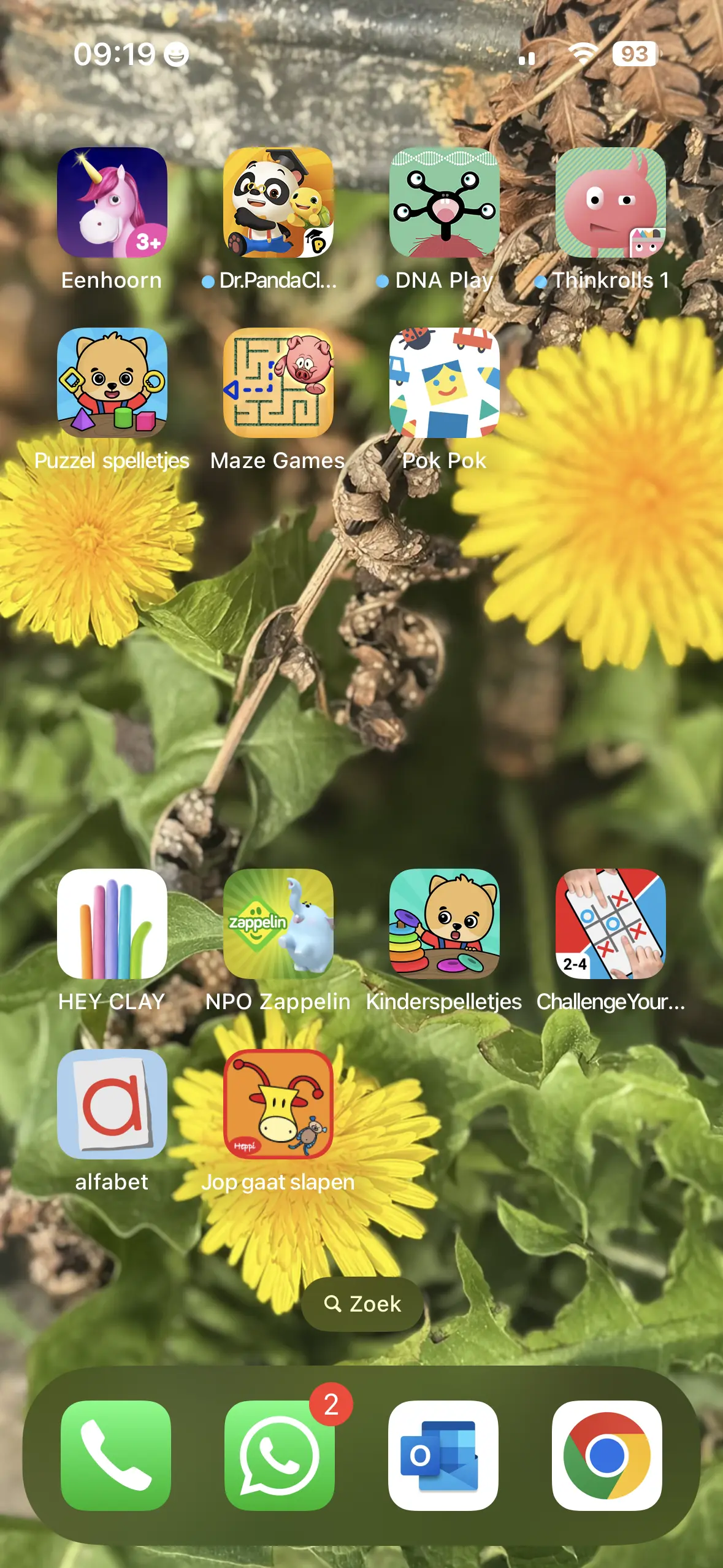 Beginscherm van een iPhone met alleen kinderapps, zoals puzzels en een slaapverhaaltje, op een achtergrond met paardenbloemen